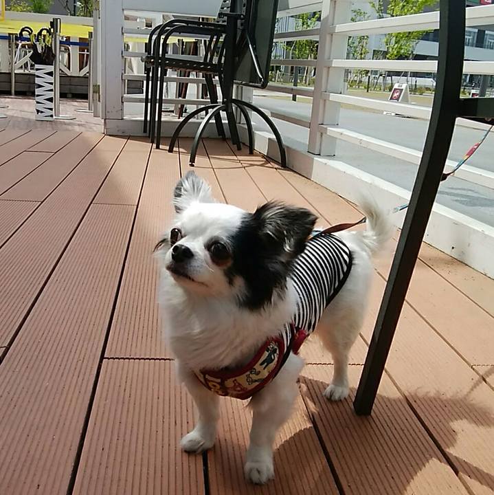 6fbf75b8 3979 40c8 8b30 8ffcccde3319