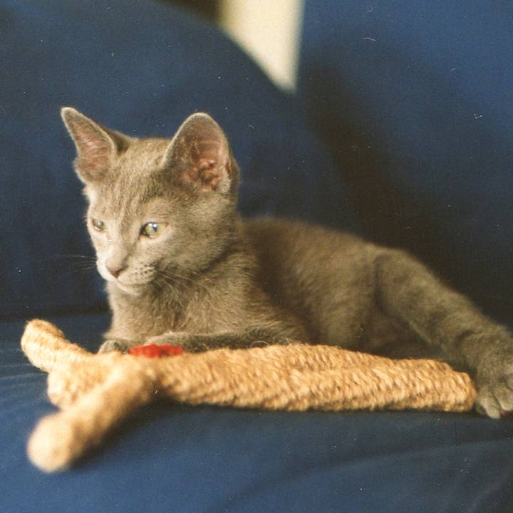 6fc1a5eb 90c4 4873 8d29 b001c7f326d5