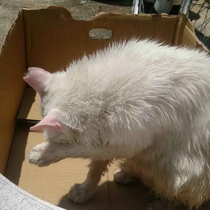 6fc2a1b1 ec7a 47f2 9794 2c0b7f372d7f