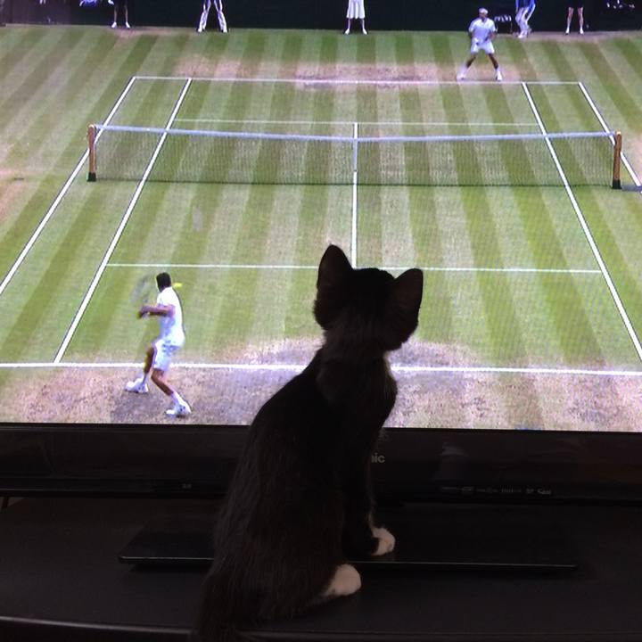 6fc2d250 d848 42c2 bfe2 04b093ed5d70