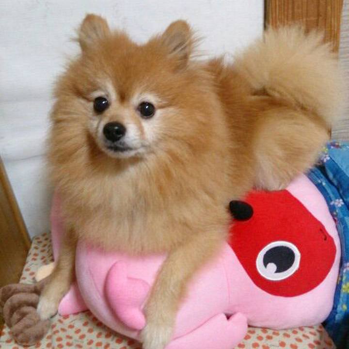 6fc2f3ce 54e7 46a9 bc8e 1ac15ff75b47