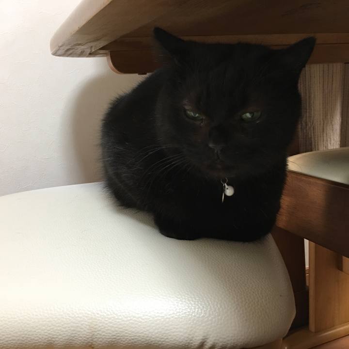 6fc36dad 5a80 4640 bb92 722e13503137