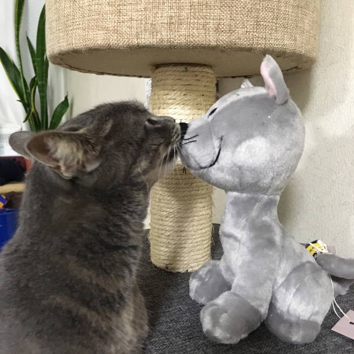 6fc3a3ed 14af 4886 b78a fb017bd10973