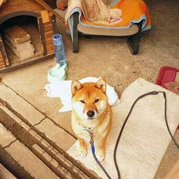 6fc3abdc 6c7b 41e3 af87 301da99bf7b1