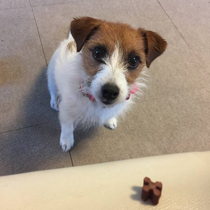 6fc3bae0 2313 4372 8235 fb8fe2a1d3e7