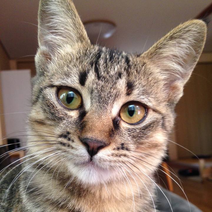 6fc3e736 8883 4159 8327 4ebc7d7c0b82