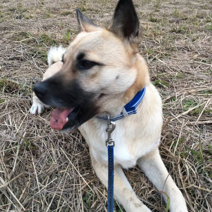 6fc5fe06 ed9f 4d28 a264 d621b5efba85