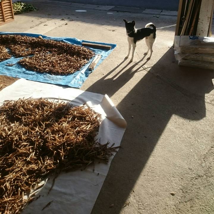 6fc62dad 3d52 4028 b39b 69fb687d4edf