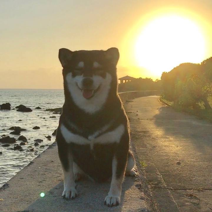 6fc6b2c6 176b 432b abd7 70b642c407bb