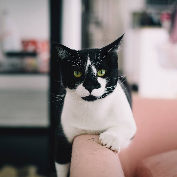 6fc6da31 3fa7 4e1f a1c1 3266b1c7fb3b