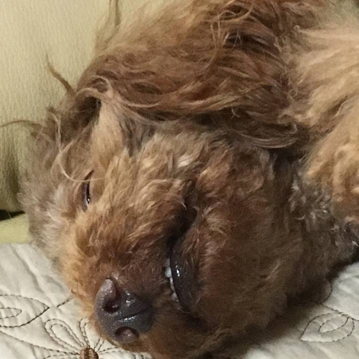 6fc73639 7db7 4d77 9385 872c224239e0