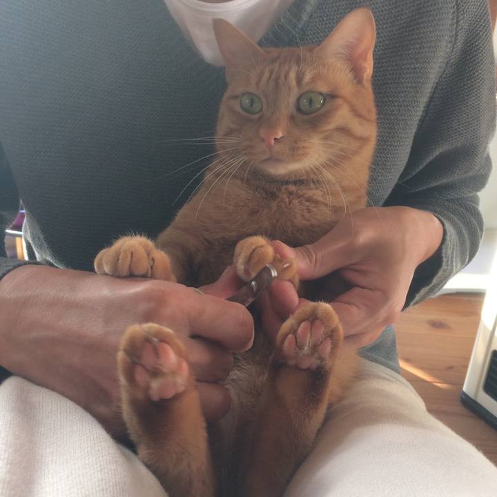 6fc81c34 e177 4e1e 84f5 f7eac3db64be