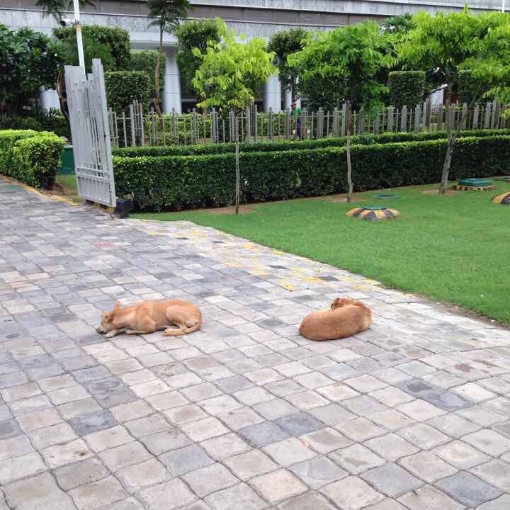 6fc83a4b 6f74 44e0 a2cd 0609f4d0faf9