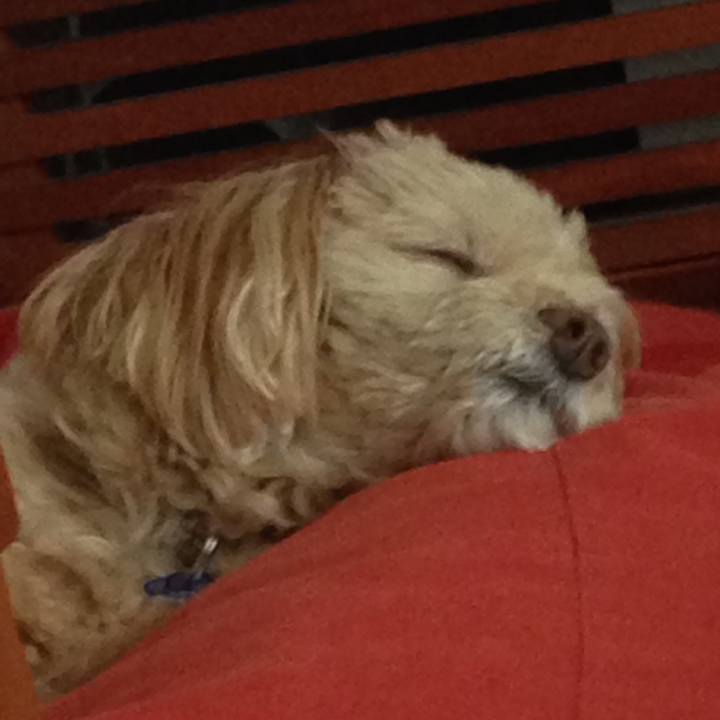 6fc84239 d21d 4b06 8460 1d1f8fefbc00