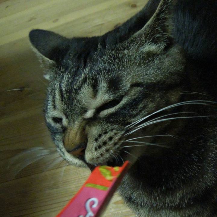 6fc882ed 4564 4ed8 8bb8 b1162028a4ea