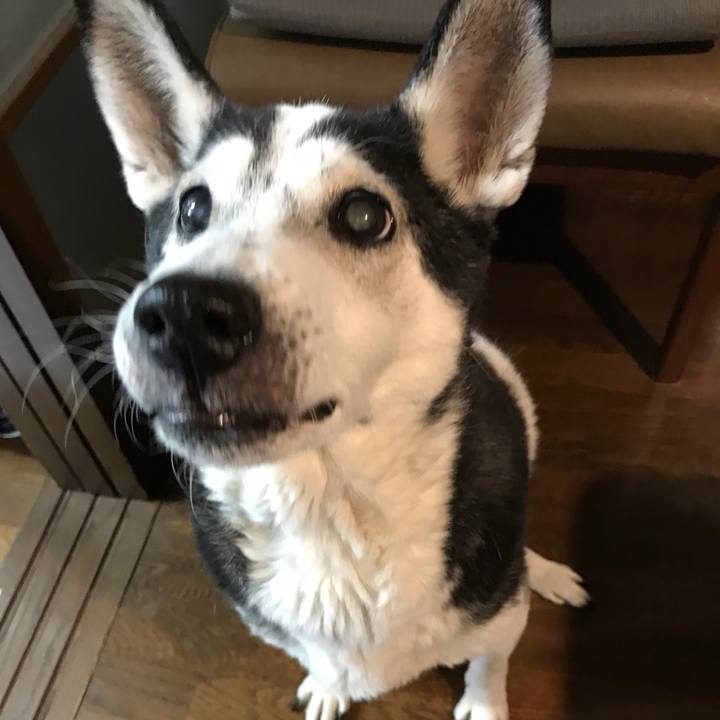 6fc8f6c9 fee5 4617 acde 3de515c3559d