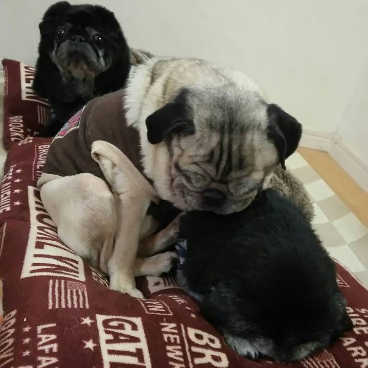 6fc94f05 3c07 4b7d 9856 6cf0ec60f392