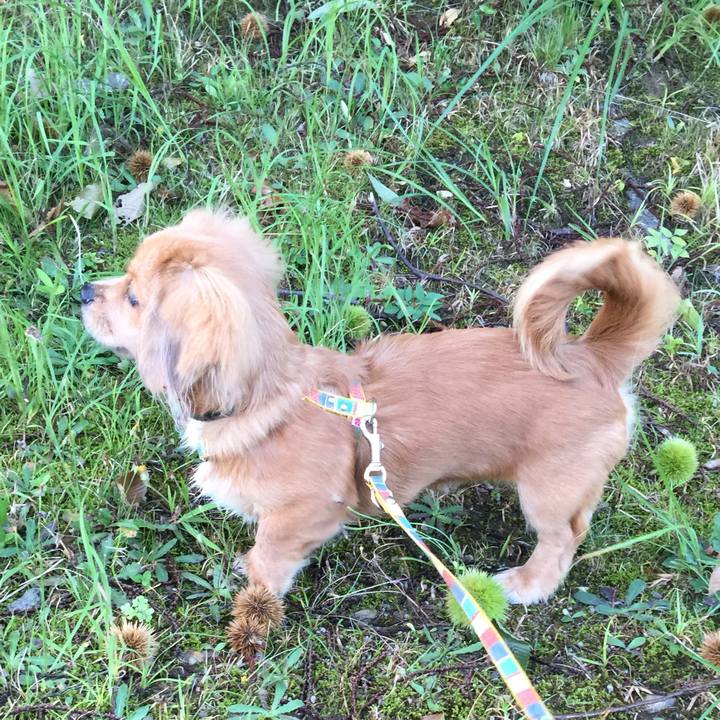 6fc9b029 fc78 491f a0aa fc96c0b6a9d1