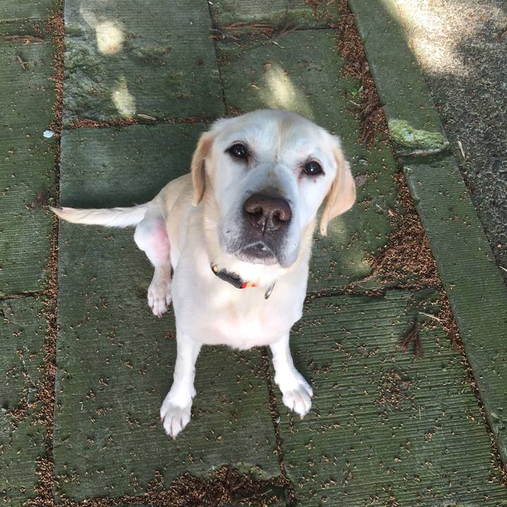 6fcabf0a 9e8b 4c19 b69c f1229bf9d0ed