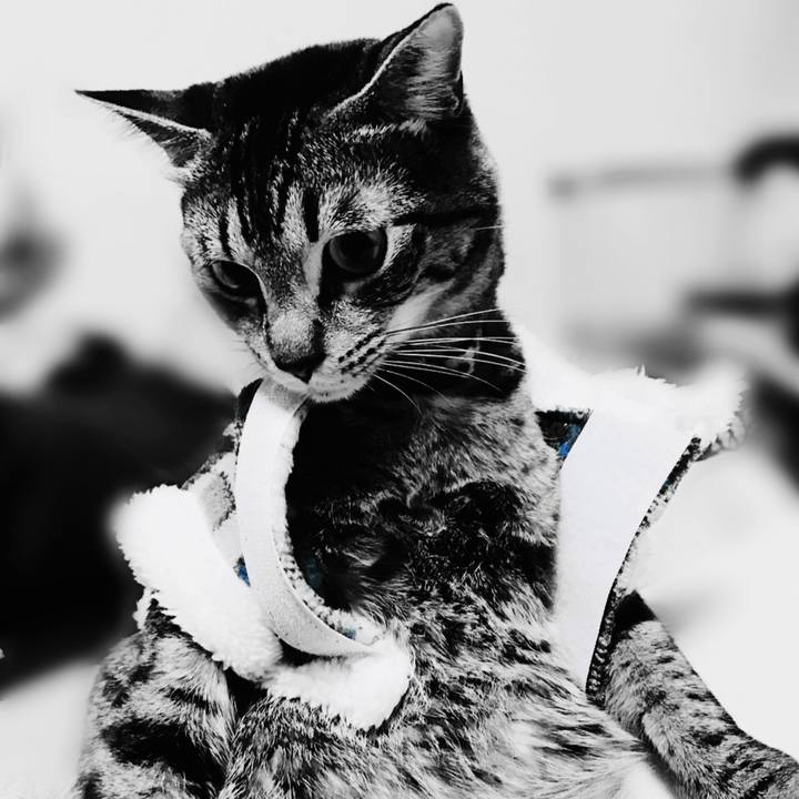 6fcb061f 378a 4a5e 8f37 e1fb37b75c77