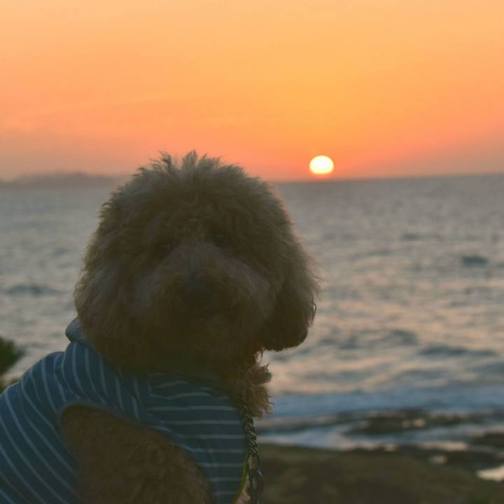 6fcb0b33 803f 40f8 a552 02c511fb37f1