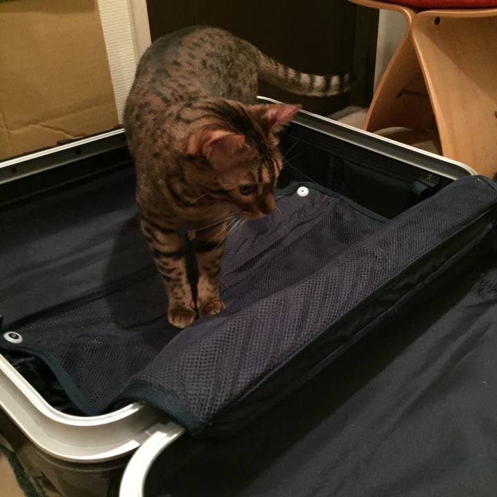 6fcb347f a117 4986 95c1 07c80d1bdd7d