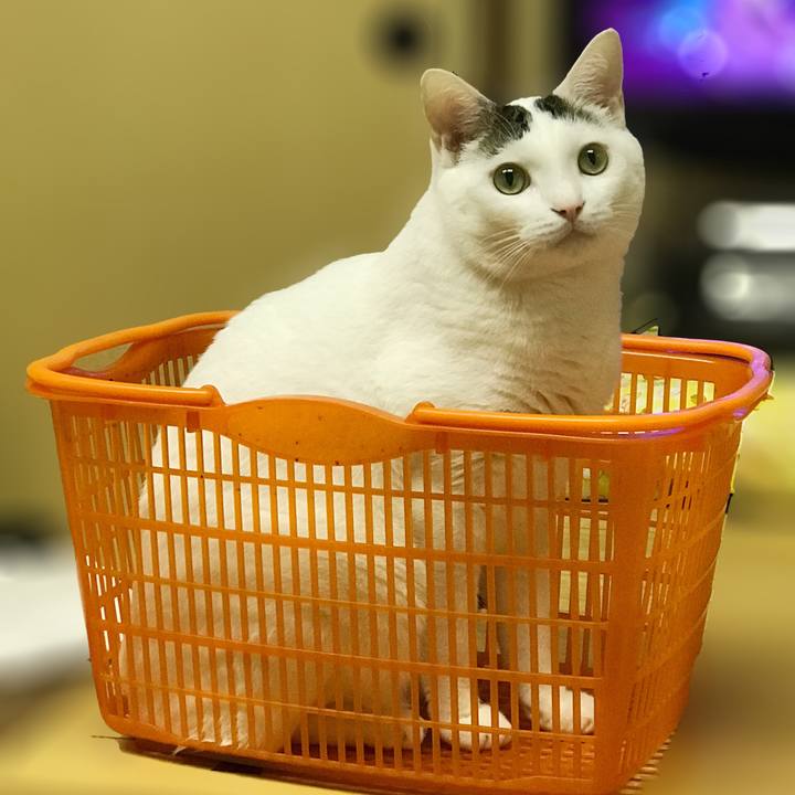 6fcb5da9 3407 4683 81a1 d9b4bf4411de