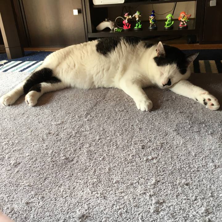 6fcbf265 d5dd 4b70 b4ae c7d0c594cbd5