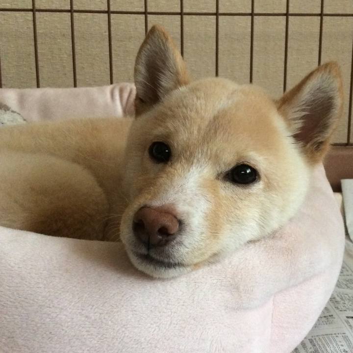 6fcd029b 83f2 4771 918b cf3aa92892d9