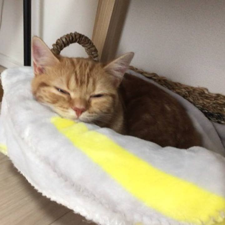 6fce9888 87b8 4abf 8fe4 b4417535fd0e