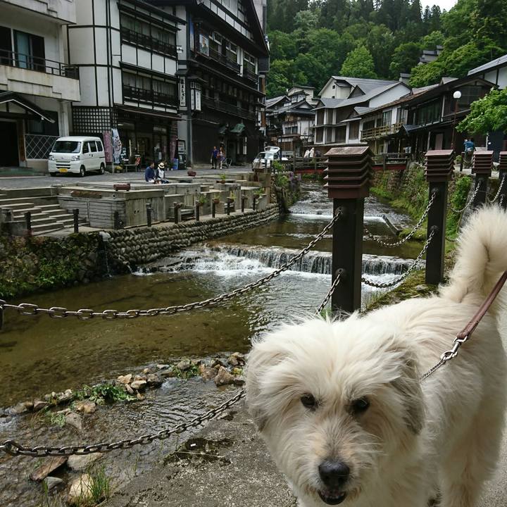 6fd0593b 0241 4d66 bd47 673d0870c4bf