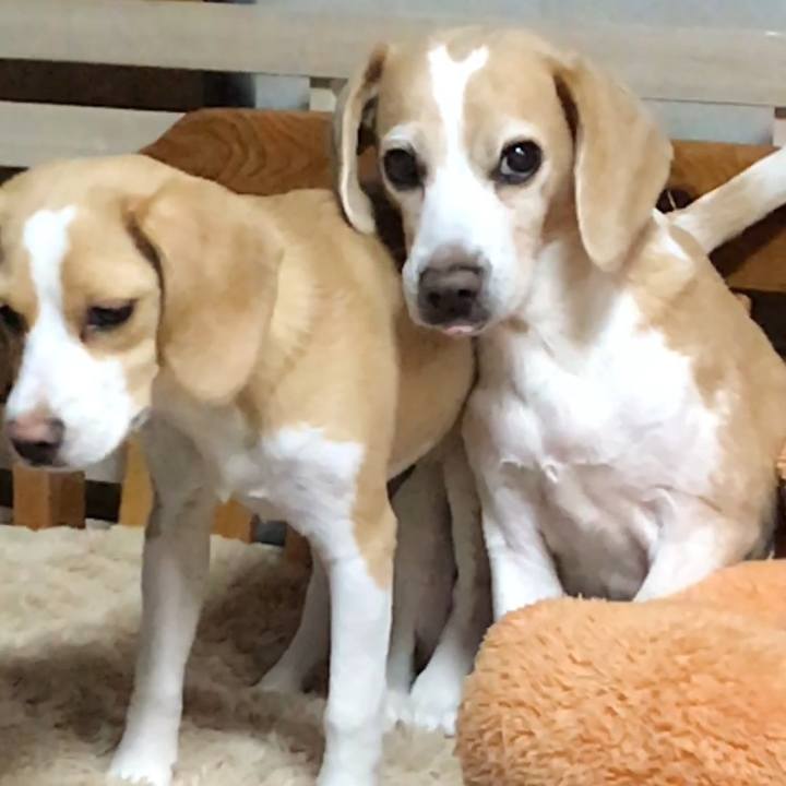 6fd0a484 c81c 459c 969e 13c17128f772