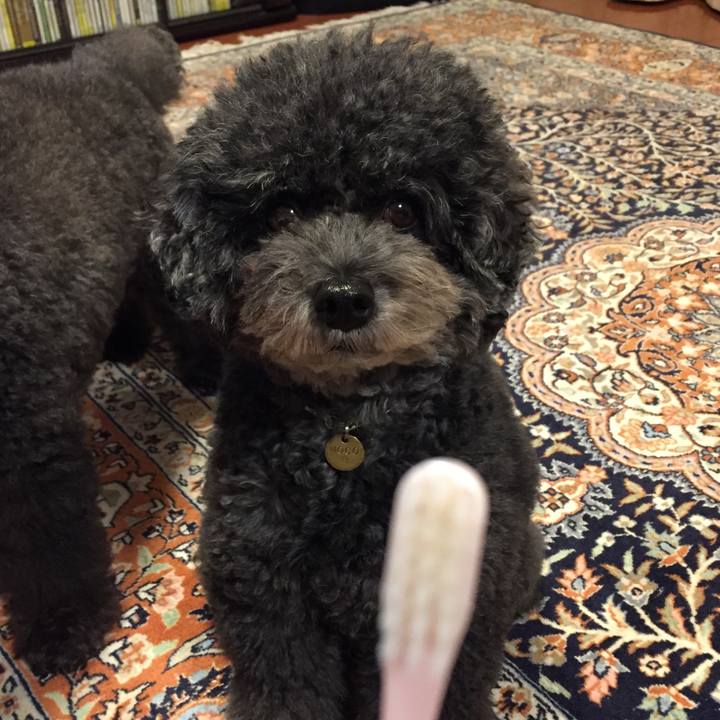 6fd18728 b300 4c19 b50f 65e55cf98f35