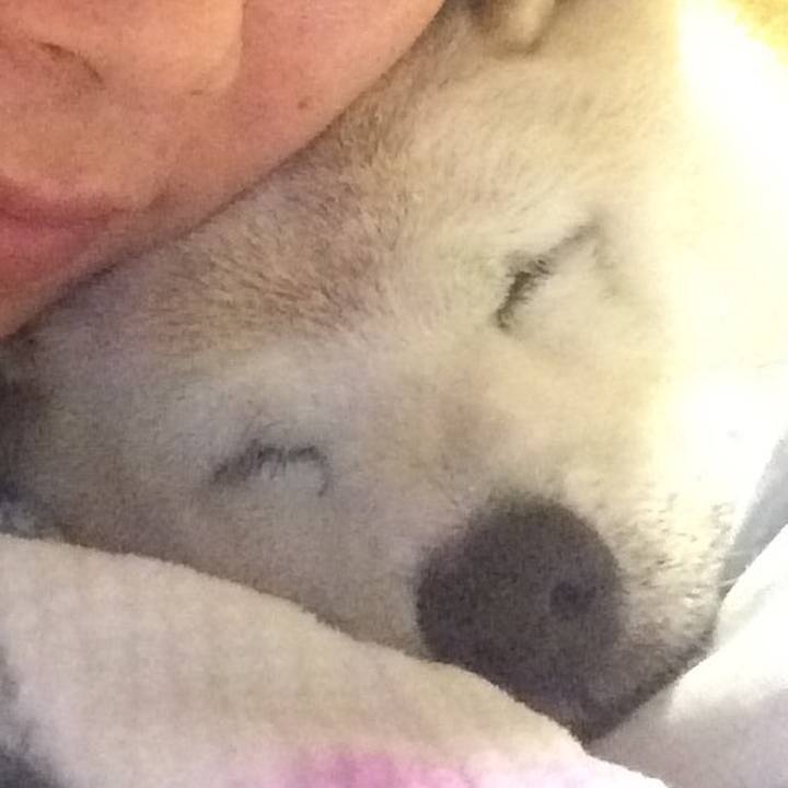 6fd1b992 f98b 4f9b accd de4c0293e8b5