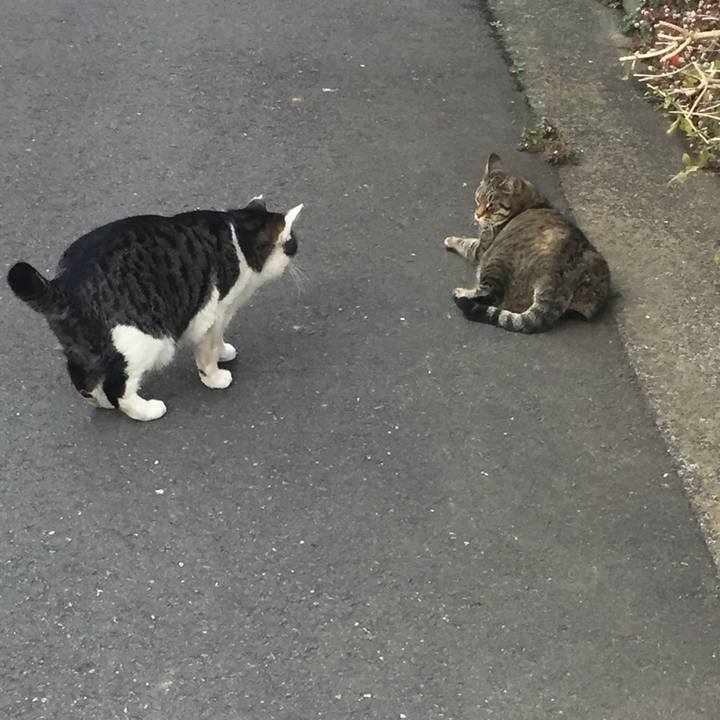 6fd27175 86cb 4aa2 b7b9 a64199856ec6