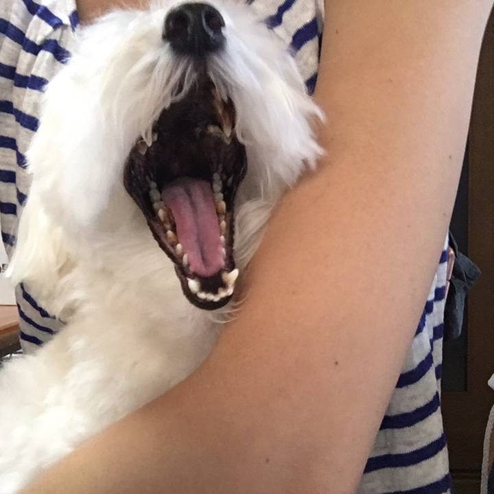 6fd2a1e2 a941 48ac ae69 6de922bfdd57