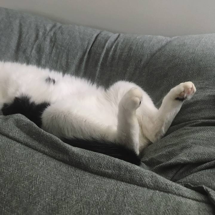 6fd2d6e5 b1a7 4cab 85f5 71c14b76de9a