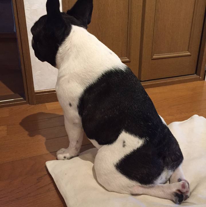 6fd2e733 3bac 4ce3 bf74 2b68cfeefa14