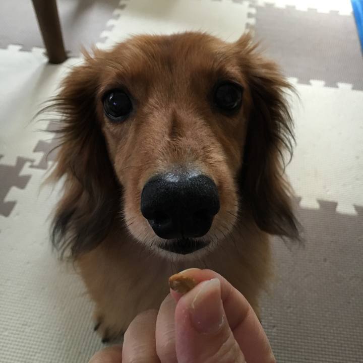 6fd2faab 07c3 4b71 b8bb e0df00d78f8b