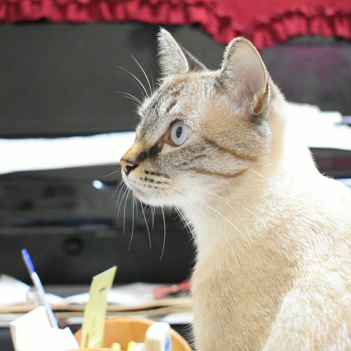 6fd30230 bff7 4342 b498 c99f8c5bae0c