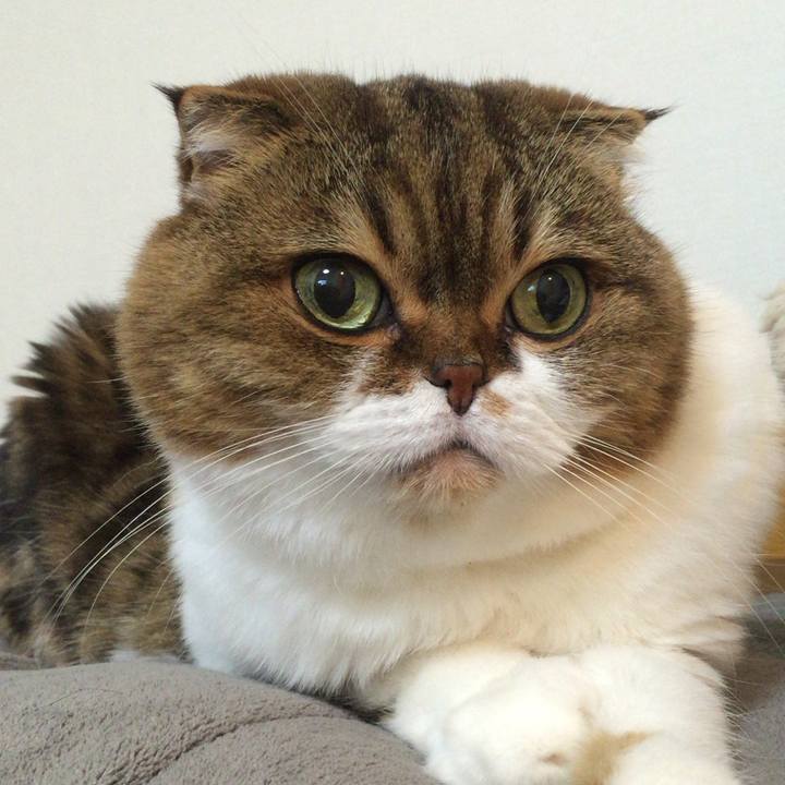 6fd3f38e 2ed4 4a12 8d36 6afdc966f360