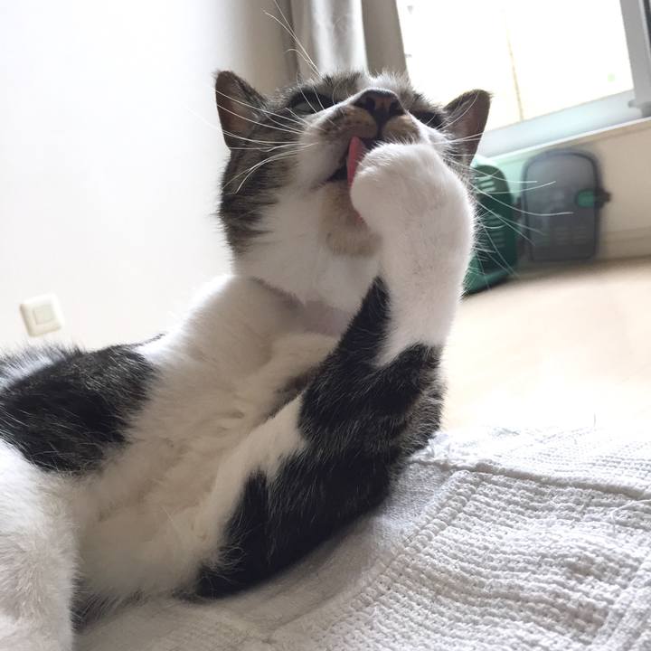 6fd4b1c7 e287 4a9e 9b61 3cf17f6a112f