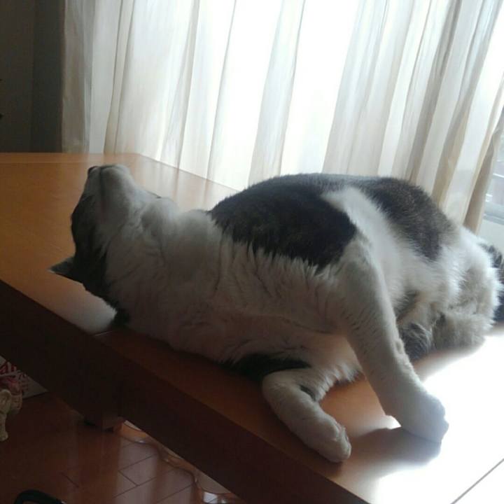 6fd4b9ea beb3 45da b120 4ee2d88572df