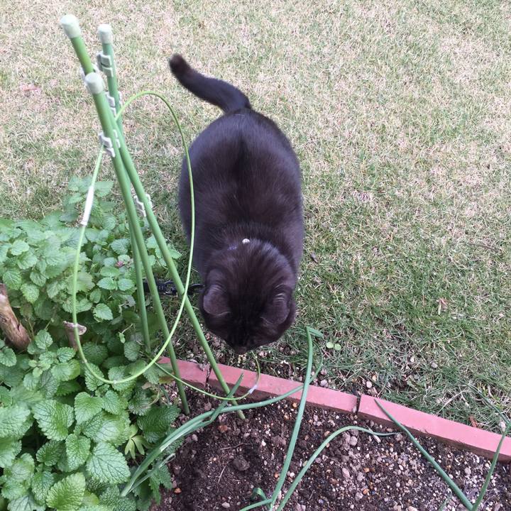 6fd51cba aca9 46e0 9f99 6b94e8fb6140