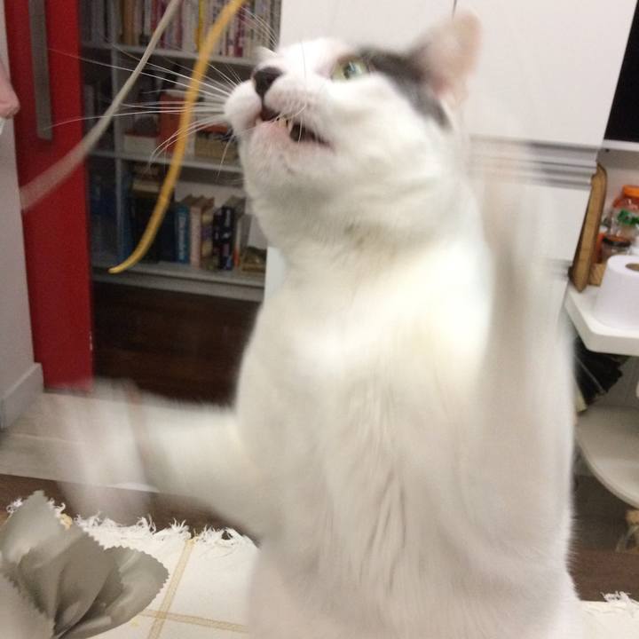 6fd57ff0 0f7c 48f6 9111 9b9f16a1f391