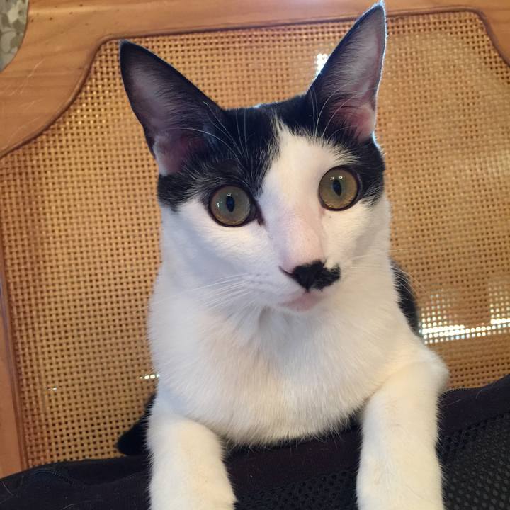 6fd5b3a2 59ea 49a8 aa56 65ddd380b513