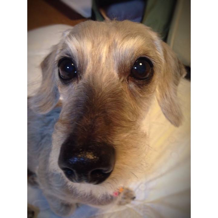 6fd5c54d 7b5e 486e b9e6 3bae4782b075