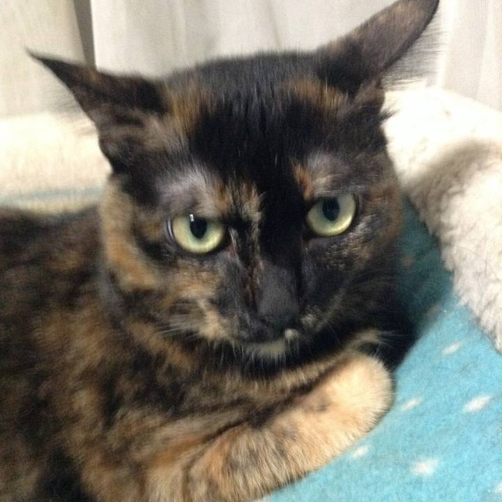 6fd60500 096b 4c6c 9fb7 bf5baf2f192b