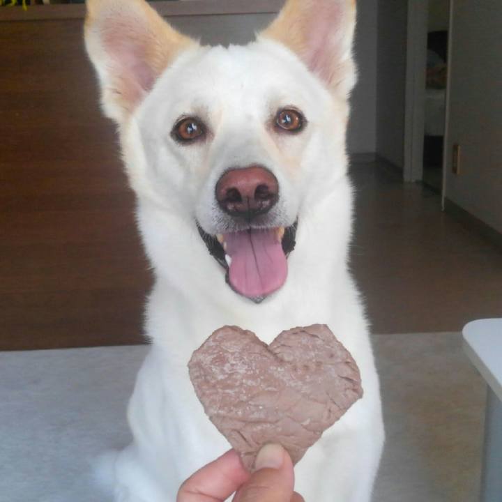 6fd65d13 f57f 44f2 b96b d2ed4cef4a8b