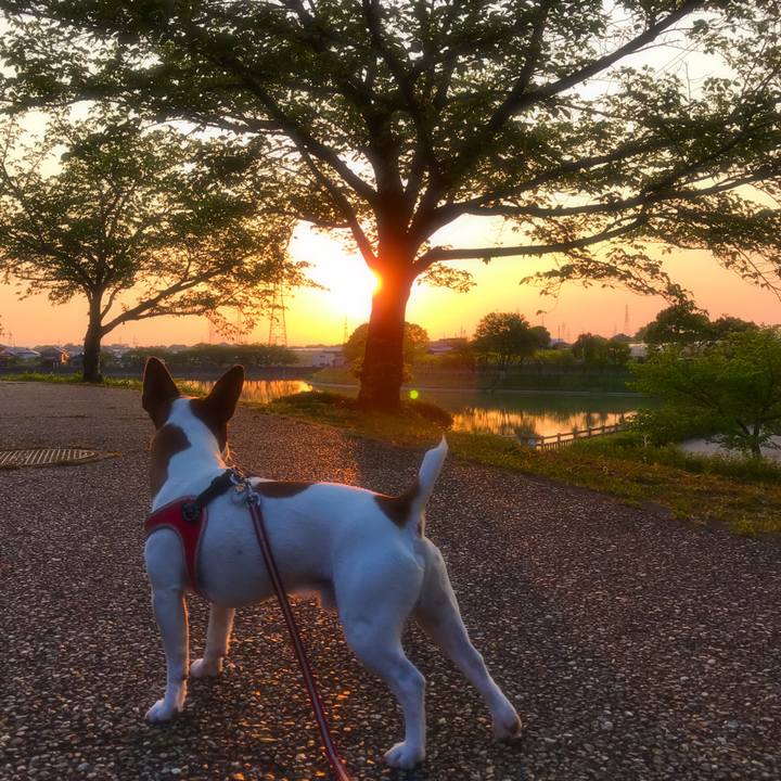 6fd6a52f ef25 4baa 8f0a 083af4410e2e